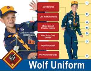 Wolf Scout Uniform