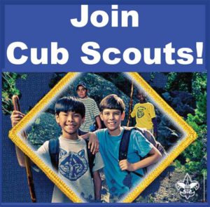 Scout Me In!